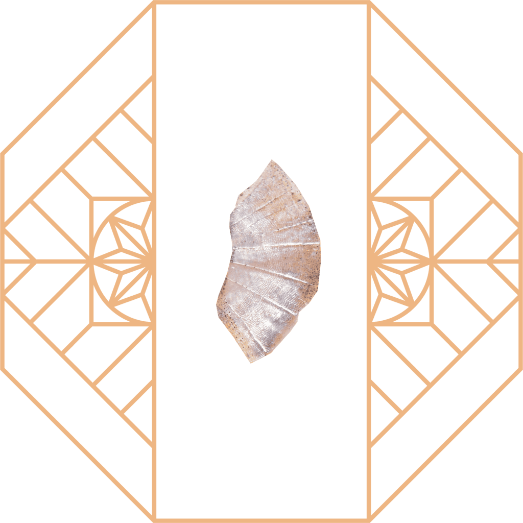 Scale